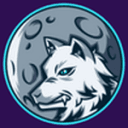 Wolfy&amp;#039;s Corporation
