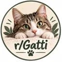 r/Gatti