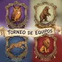 Torneos de equipos