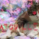 ℂ??????™..