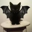 Cat's POWER