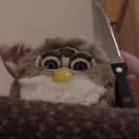 Les Furbys
