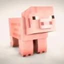 Cochoncraft