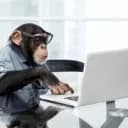(Unofficial) Gorilla Tag Modding Discord