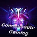 Communauté Gaming