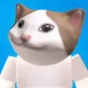POP CAT SERVEUR