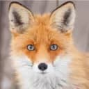 Serveur de Rouxie